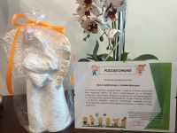 Wsparcie finansowe pikniku dla dzieci wychowujących się w rodzinach zastępczych i placówkach opiekuńczo-wychowawczych z...